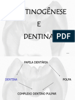 Dentinogênese PDF