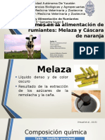 Eq4_MelazaYCascaraDeNaranja-correcciones