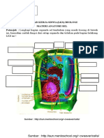 Lembar Kerja Siswa Sel