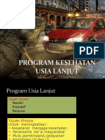 Program Usila Puskesmas