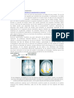 Matemáticas y Neurociencia