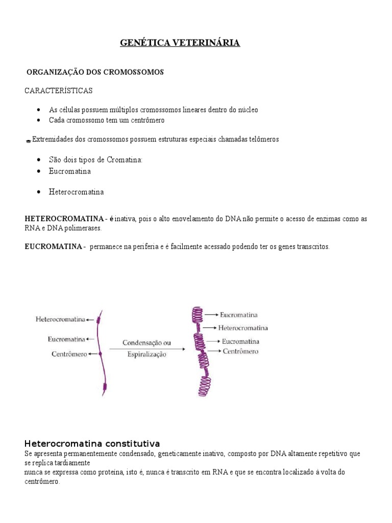 Genética Veterinária 1 | PDF | Cromossomo | Dominância (genética)