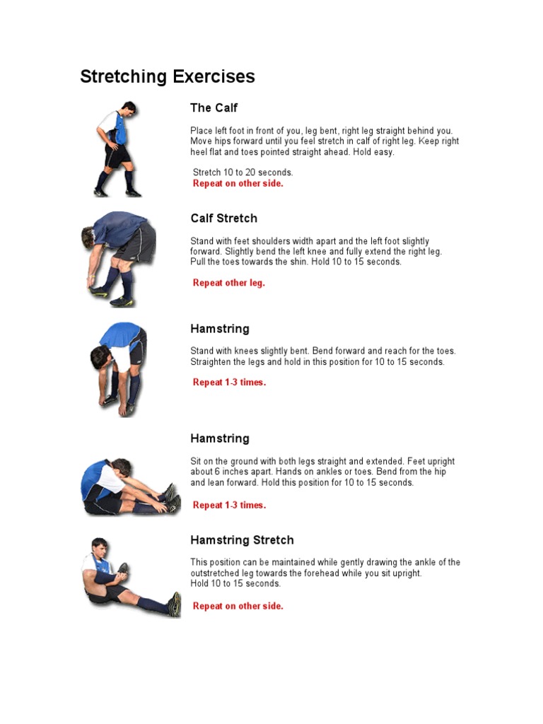 Stretching Exercises PDF Flexibility (Anatomy) Physical Exercise