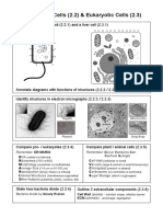 2.2 - 2.3 Cells