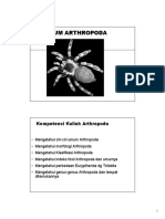 Handout Arthropoda2015