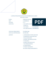 COVER-ESDL.doc