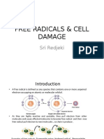 Free Radicals & Cell Damage: Sri Redjeki