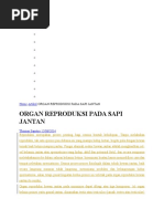Download Organ Reproduksi Jantan by Siswoyo Agus SN324507458 doc pdf