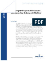 FGD TWP H2S Hydrogen Sulfide Gas Understand Danger