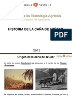 Historia, Biología y Ciclo Caña de Azúcar1