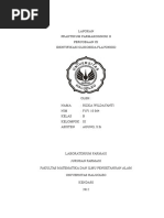 Download 134205575-Laporan-Praktikum-Farmakognosi-9-Identifikasi-Glikosida-Flavonoiddocx by Asep Soni Subagja SN324524998 doc pdf
