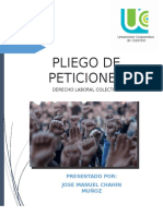 Pliego de Peticiones