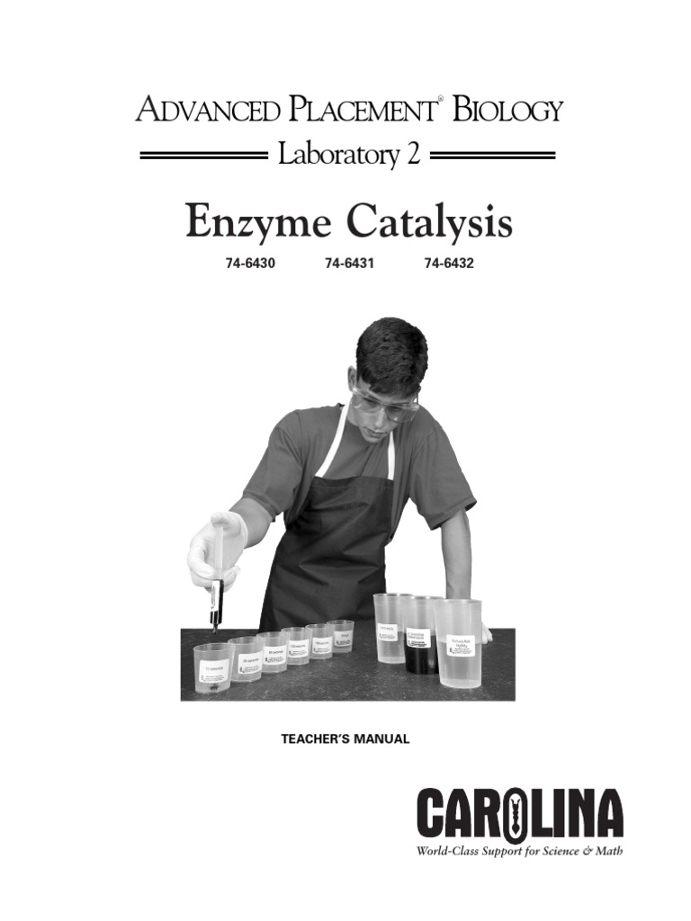 AP Lab 2 Enzyme Catalysis PDF Enzyme Hydrogen Peroxide
