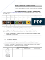 tp1 Mesure Longueur Univers