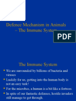 Defence Mechanism in Animals - The Immune System