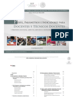 1 Perfil. Parámetro e Indicador PDF