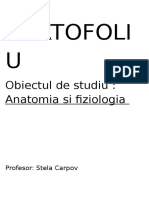 Portofoliu La Anatomie