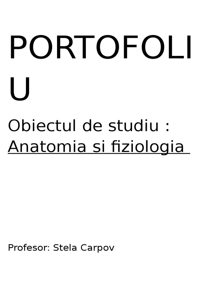 Portofoliu La Anatomie | PDF