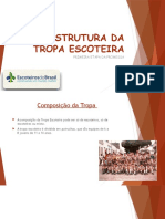 Estrutura e hierarquia de uma tropa escoteira