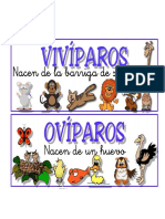 Animales Oviviviparos