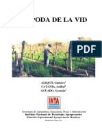 script-tmp-1__la_poda_de_la_vid.pdf
