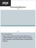 Download Dermatophytes - Medical Research Institute - Alexandria University by   SN32457553 doc pdf