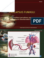 04D Prolapsus Funikuli-Rev SR