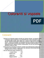 Coloranti Si Vopsele