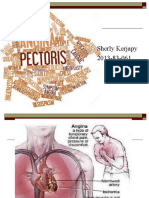 Angina Pectoris Mechanism