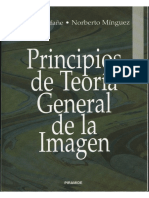 Principios de La Teoria General de La Imagen