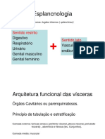 1 esplancnologia.pdf