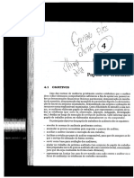 Capítulo 4 - Papéis de Trabalho PDF