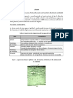 Cuidados de la córnea y tratamiento de úlceras