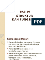 Bab 10 Struktur & Fungsi Sel