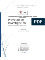 Proyecto de Investigacion de Mercado