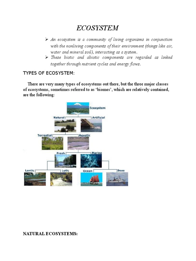 Ecosystem: Natural Ecosystems | PDF | Ecosystem | Forests