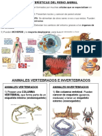 1eso.t8. Animales Vertebrados