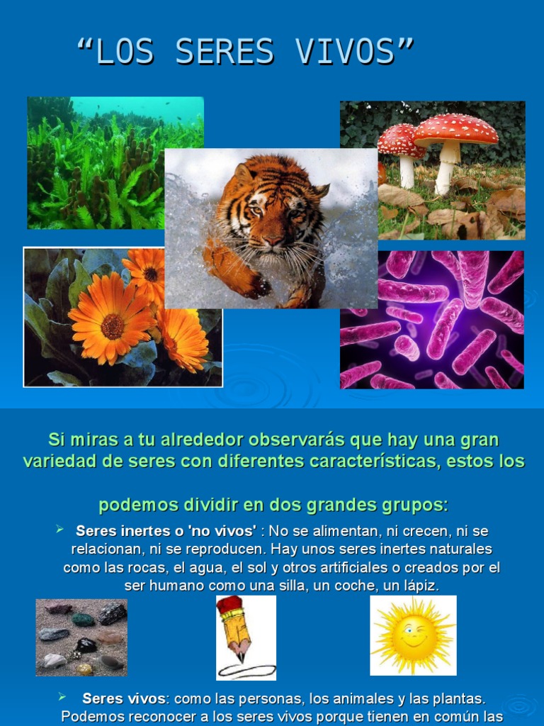 Seres Vivos 4 Grado | PDF | Plantas | Organismos