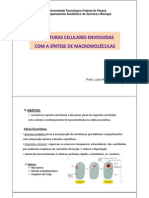 Sinte Macromol