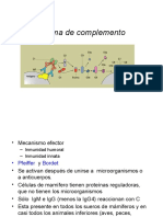 7Sistema-Complemento.pdf