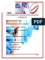 Efecto Hepatotoxico Del Tetracloruro de Carbono PDF