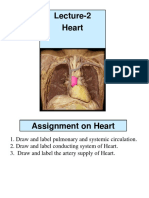 Lec 4 Heart