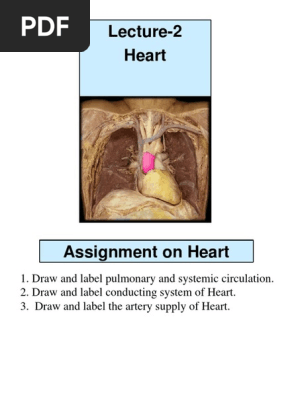 Lec-4-Heart