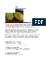 Nangka