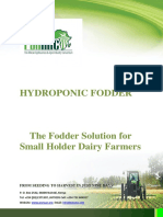 Hydroponics_fodder.pdf