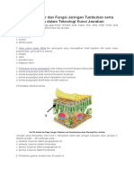 Struktur dan Fungsi Jaringan Tumbuhan
