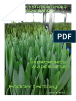 Hydroponics Fodder Factory Rsa