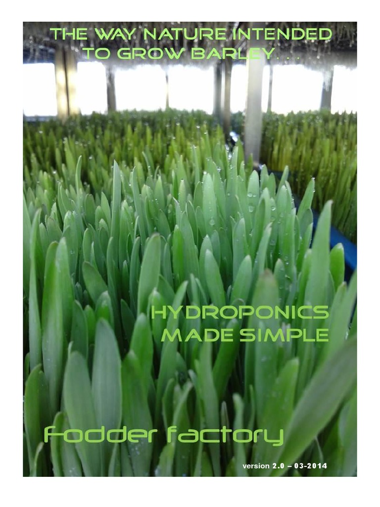 Hydroponics Fodder Factory Rsa | Download Free PDF | Fodder | Digestion