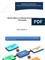 2. Rol del COES - Cesar Butron.pdf