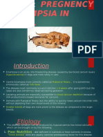 Vld Eclampsia in Bitchs.pptx